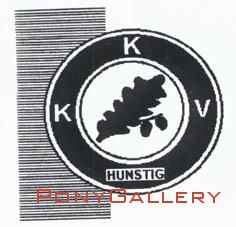 logo_kkv_hunstig