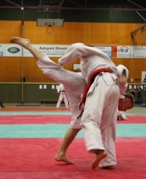 Judo TSV